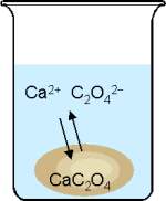 Lösungsgleichgewicht von Calciumoxalat